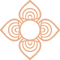 iconopiel4 iconopiel4
