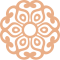 iconopiel8 iconopiel8